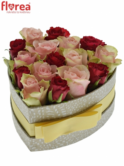 Krabička ruží ROSEBELLINE šampaň 15x8cm