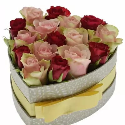 Jednodruhová krabička 16 růží ROSEBELLINE 15x8cm