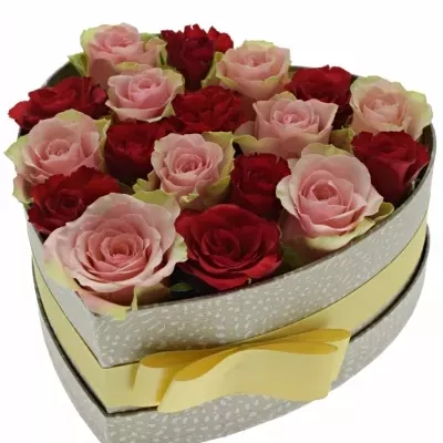 Krabička růží ROSEBELLINE šampaň 19x9cm
