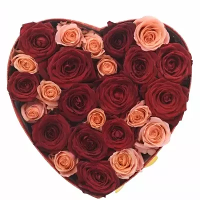 Krabička růží SATINE červená 24x10cm