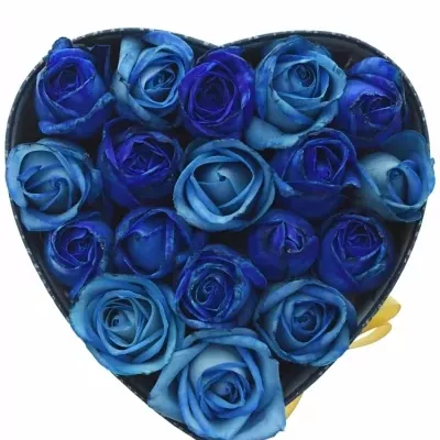 Krabička růží SENNA modrá 19x9cm