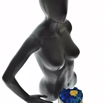 Krabička růží SENNZIA modrá 15x8cm