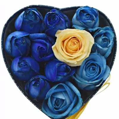 Krabička růží SENNZIA modrá 15x8cm