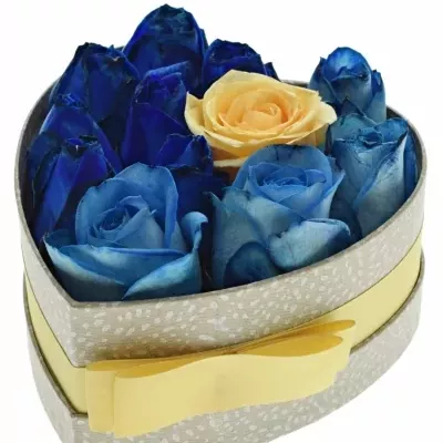 Krabička růží SENNZIA šampaň 15x8cm