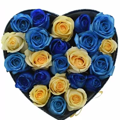 Krabička růží SEPHORA modrá 24x10cm