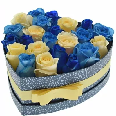 Krabička růží SEPHORA modrá 24x10cm