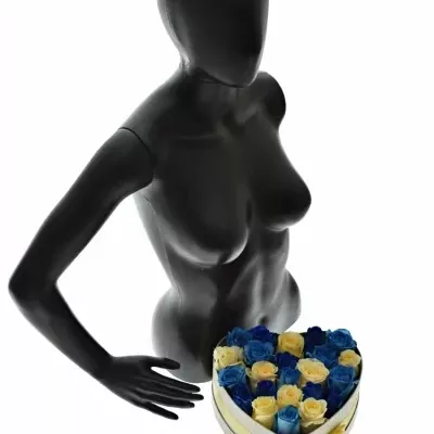 Krabička růží SEPHORA šampaň 24x10cm