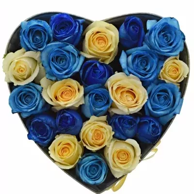 Krabička růží SEPHORA šampaň 24x10cm