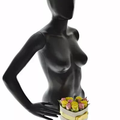 Krabička růží SHANILLA šampaň 15x8cm