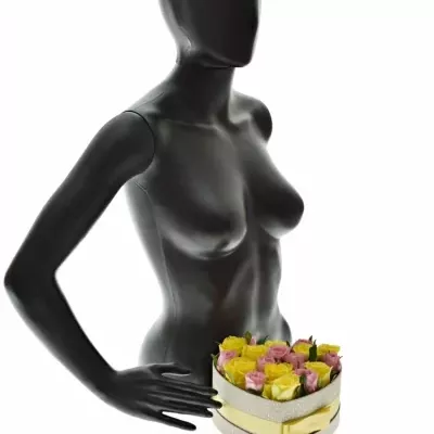 Krabička růží SHANILLA šampaň 19x9cm