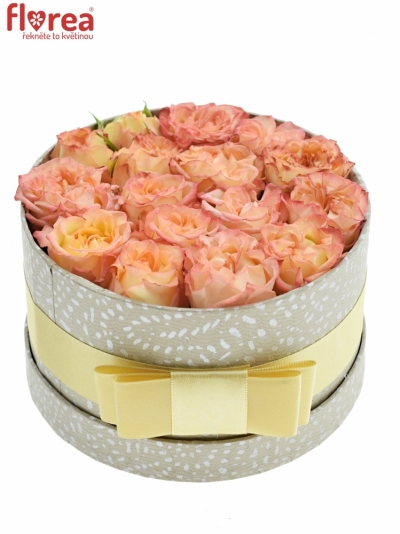 Krabička růží SHOW FLOW šampaň 13,5x8cm