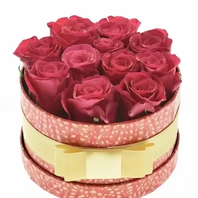Jednodruhová krabička 11 růžových růží TACAZZI 13,5x8cm