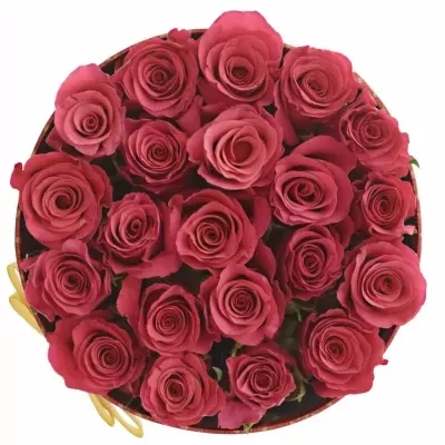 Krabička růží TACAZZI červená 18x8cm