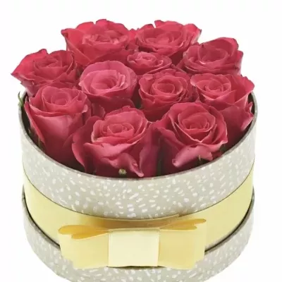 Jednodruhová krabička 11 růžových růží TACAZZI 13,5x8cm
