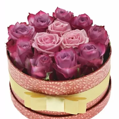 Jednodruhová krabička 12 růží VALLERY 18x8cm