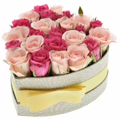 Krabička růží WILDONNE šampaň 15x8cm