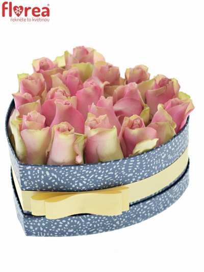 Krabička růžovozelených růží BELLE ROSE modrá 19x9cm