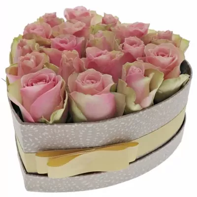 Krabička růžovozelených ruží BELLE ROSE šampaň 19x9cm
