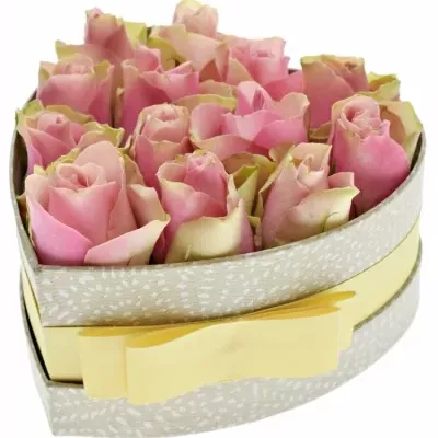Krabička růžových růží BELLEVUE šampaň 15x8cm