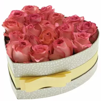 Krabička růžových růží BRENDT šampaň 19x9cm