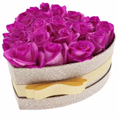 Jednodruhová krabička 19 fialových růží CERISE VENDELA 19x9cm