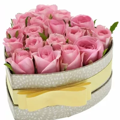 Krabička růžových růží ELIZA šampaň 15x8cm
