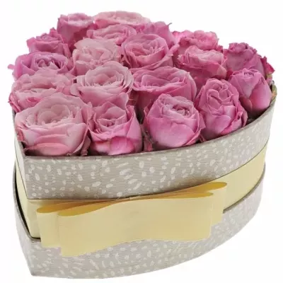 Krabička ružových ruží LADY Bombastic šampaň 15x8cm