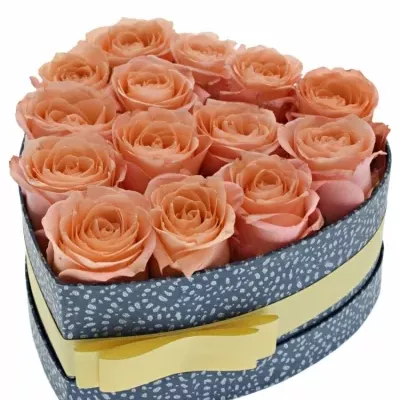 Jednodruhová krabička 14 růžových růží LADY MARGARET 19x9cm