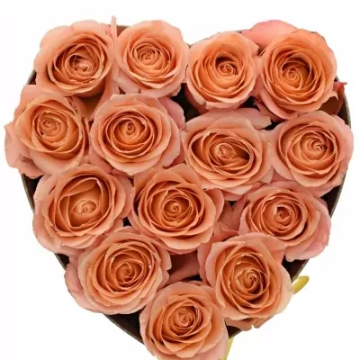 Krabička růžových růží LADY MARGARET šampaň 19x9cm