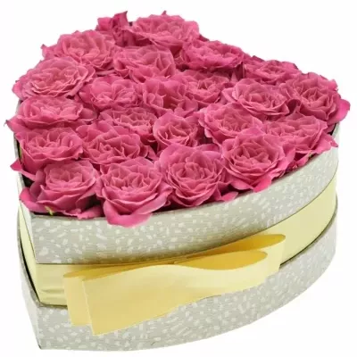 Jednodruhová krabička růžových růží LIANNE 15x8cm