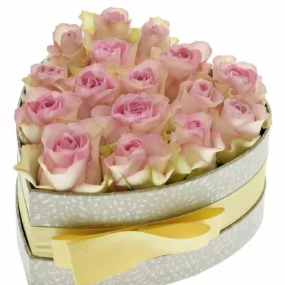 Krabička růžových růží LOVELYJEWEL šampaň 15x8cm