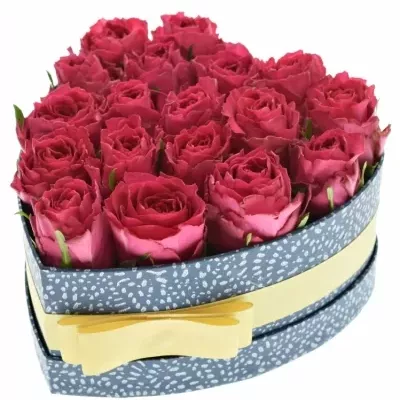 Jednodruhová krabička 18 růžových růží MADAM CERISE 19x9cm