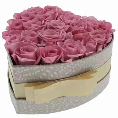 Krabička růžových růží NATHALIE šampaň 15x8cm