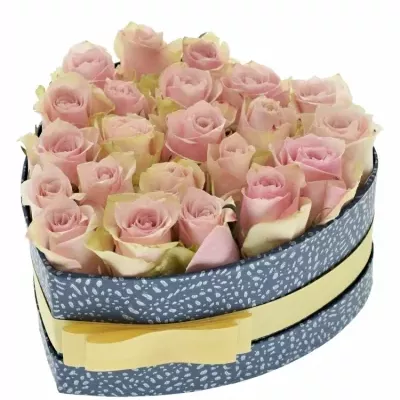 Krabička růžových růží PINK ATHENA modrá 19x9cm