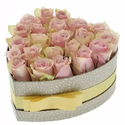 Krabička růžových růží PINK ATHENA šampaň 19x9cm