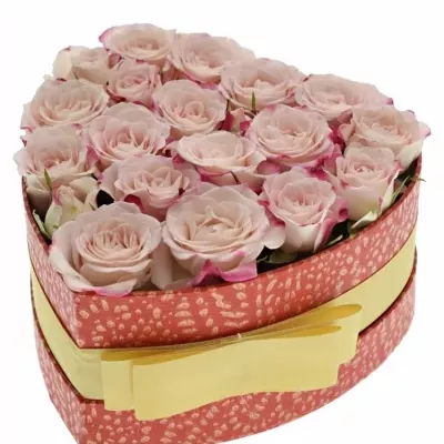 Krabička ružových ruží REFLEX červená 15x8cm