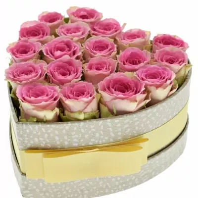 Jednodruhová krabička 19 růžových růží TIMES SQUARE 15x8cm
