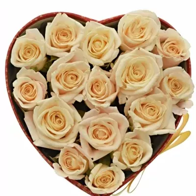 Krabička smetanových růží MEDEO červená 15x8cm