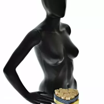 Krabička smetanových růží MEDEO modrá 15x8cm