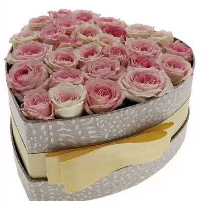Krabička světle růžových růží CREAMY TWISTER šampaň 15x8cm