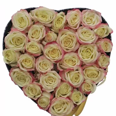 Krabička žíhaných růží CANDELICIOUS modrá 15x8cm