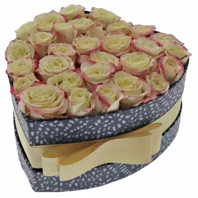 Jednodruhová krabička  růží CANDELICIOUS 15x8cm
