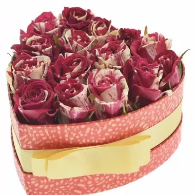 Krabička žíhaných ruží HARLEQUIN červená 15x8cm