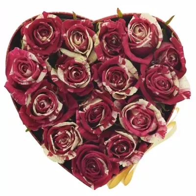 Krabička žíhaných ruží HARLEQUIN červená 15x8cm