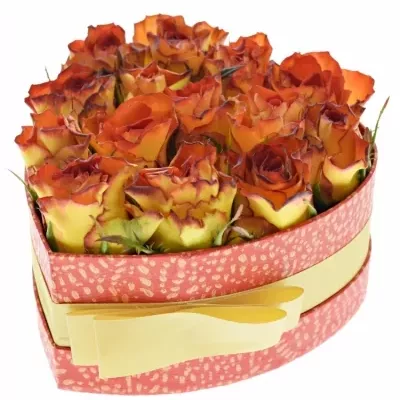 Krabička žíhaných růží SMILEY@ červená 15x8cm