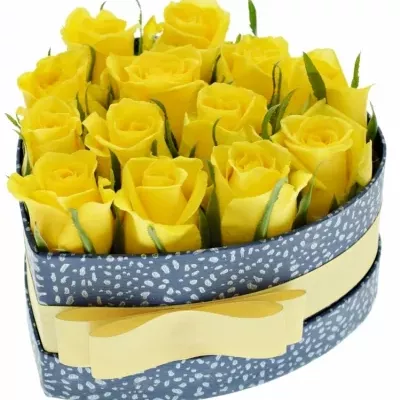 Krabička žlutých růží MOONWALK modrá 15x8cm