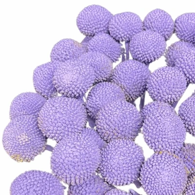 Kraspédie MILKA 60cm