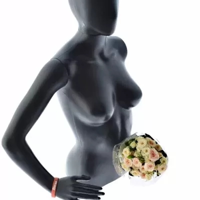 Krémová růže LENNE 40cm/3+