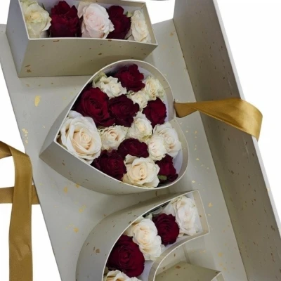 Krémový I Love You Box růží 007