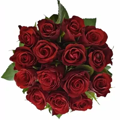 Jednodruhová kytice 15 červených růží RED RIBBON 60 cm